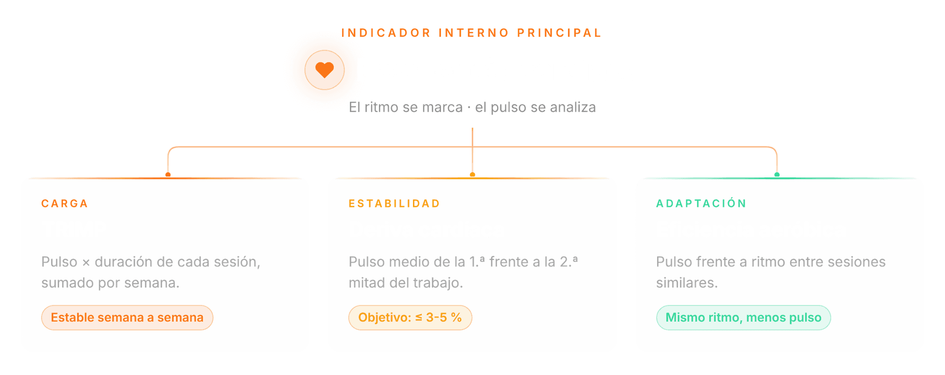 La frecuencia cardíaca como indicador interno principal y sus tres lecturas en FORMA: TRIMP (carga), deriva cardíaca (estabilidad) y eficiencia aeróbica (adaptación)